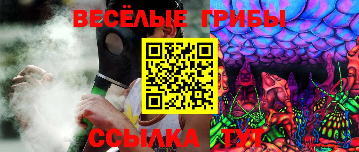 Димитровград  цена наркотик  Вход с VPN  Псилоцибиновые грибы Psilocybe 