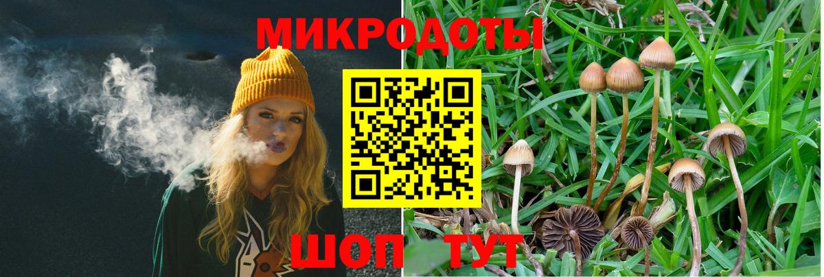 Димитровград  НБОМе  Меф МЯУ МЯУ   Вход с VPN  Каннабис  Кокаин  МДМА 