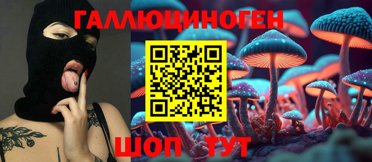Галлюциногенные грибы Magic Shrooms Димитровград